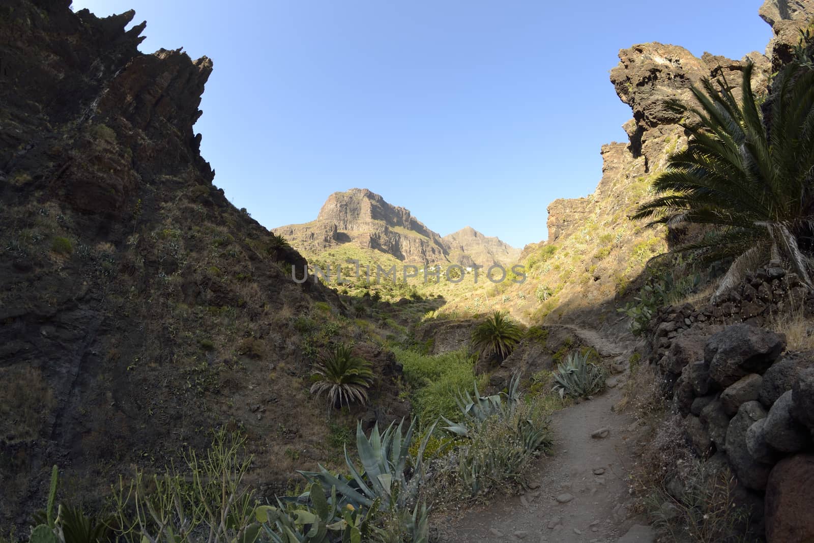 walk throuh the Masca canyon, Tenerife, Spain. beautiful and steep gorge. Fisheye lens