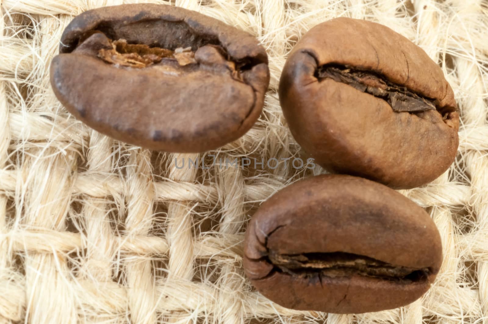 beautiful background of macro of coffe in studio