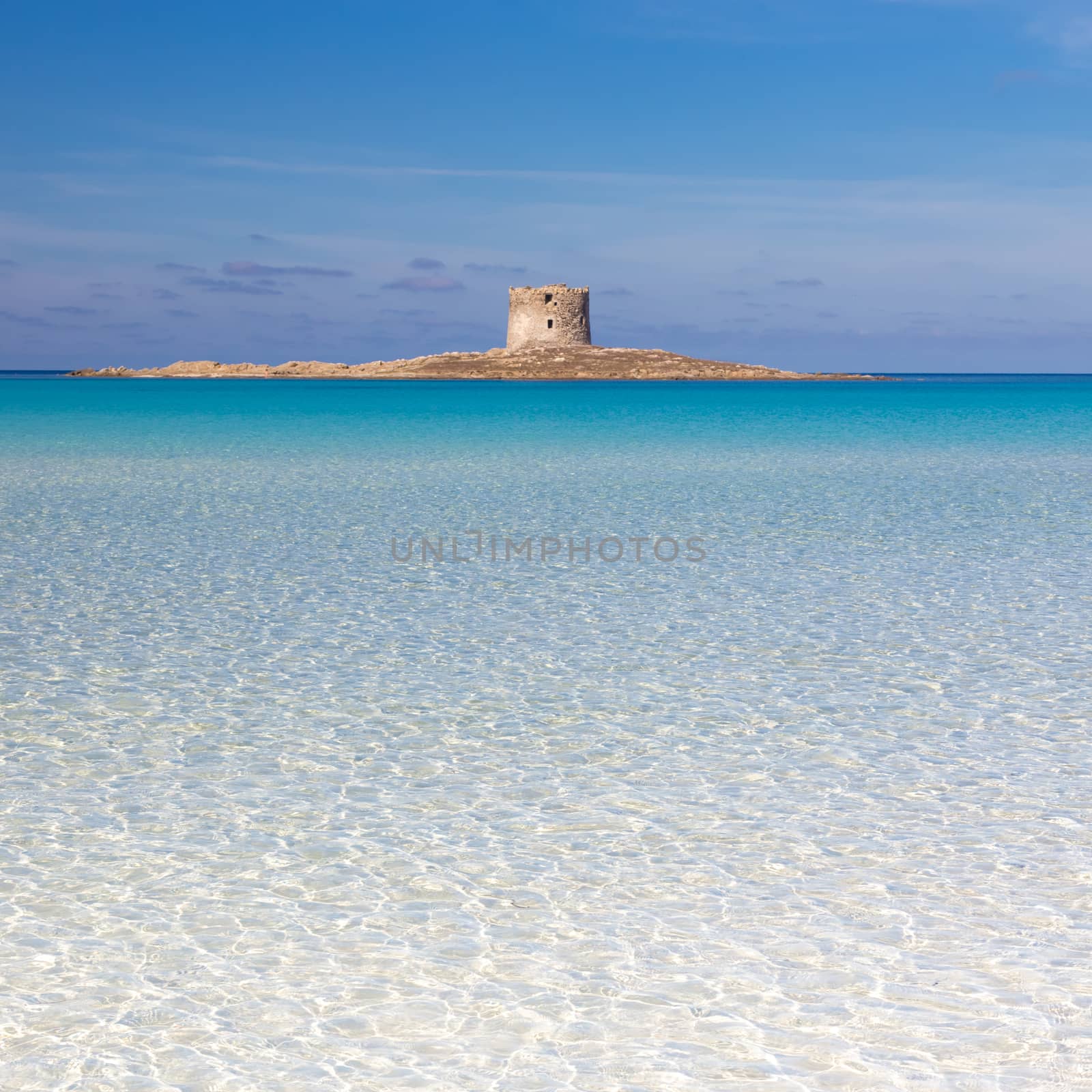 Beautiful turquoise blue mediterranean Pelosa beach near Stintino,Sardinia, Italy.