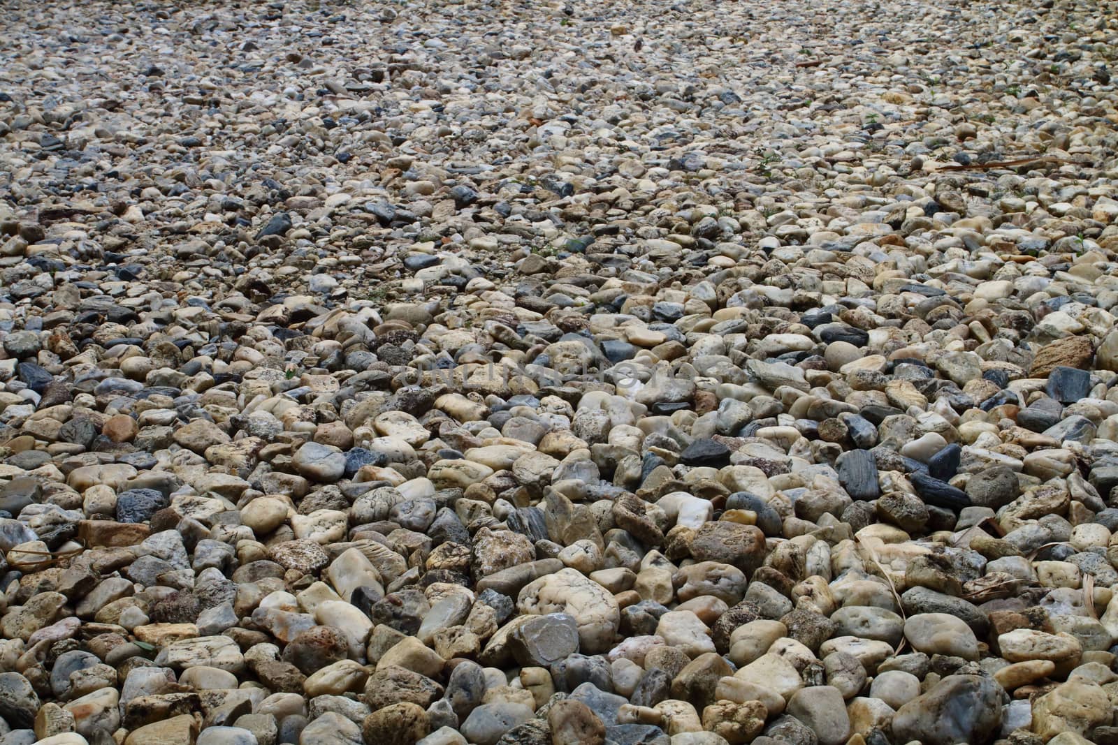 The area is full of stones and pebble.