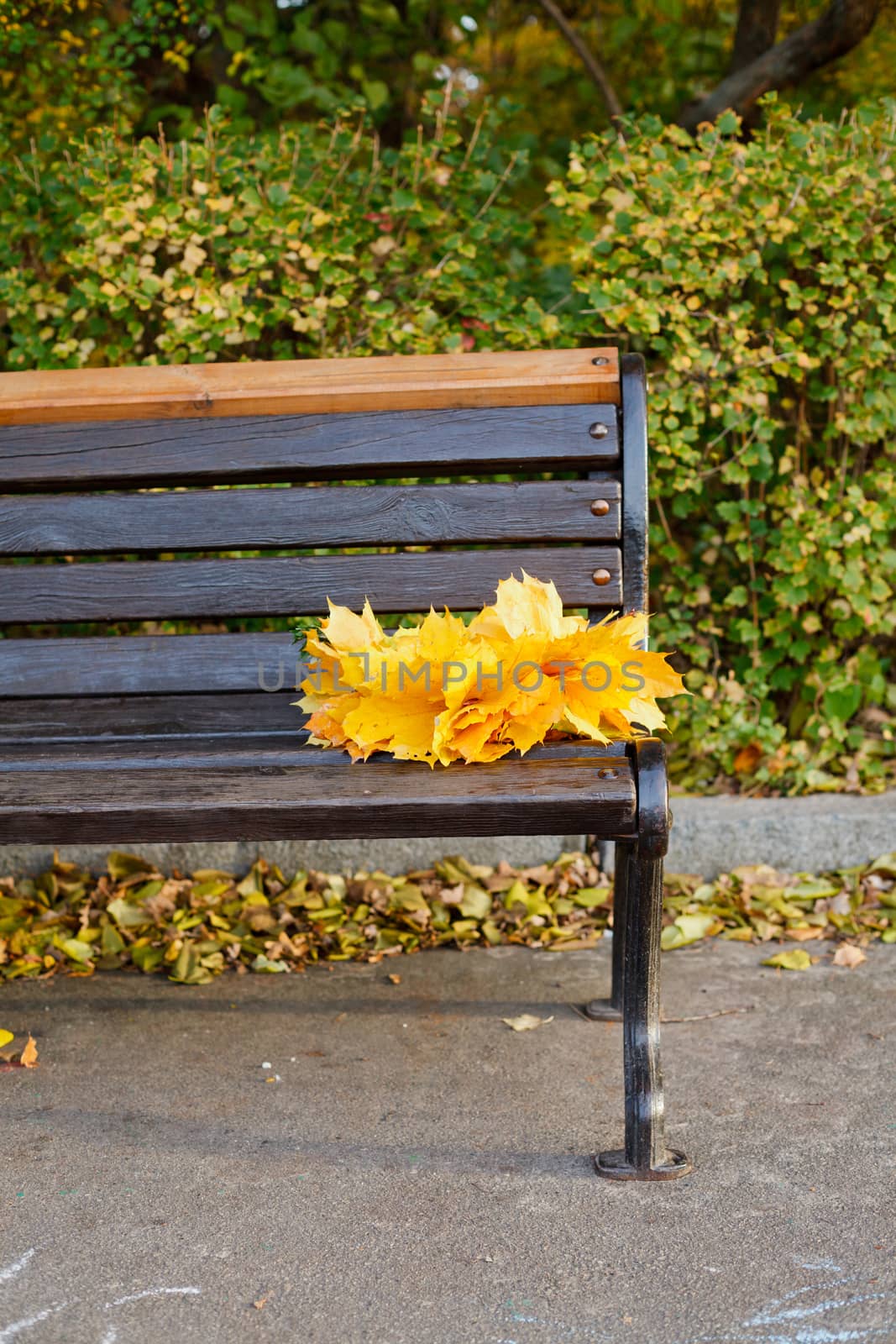 Empty bench with bouquet of leaves in autumn park. Vertical view