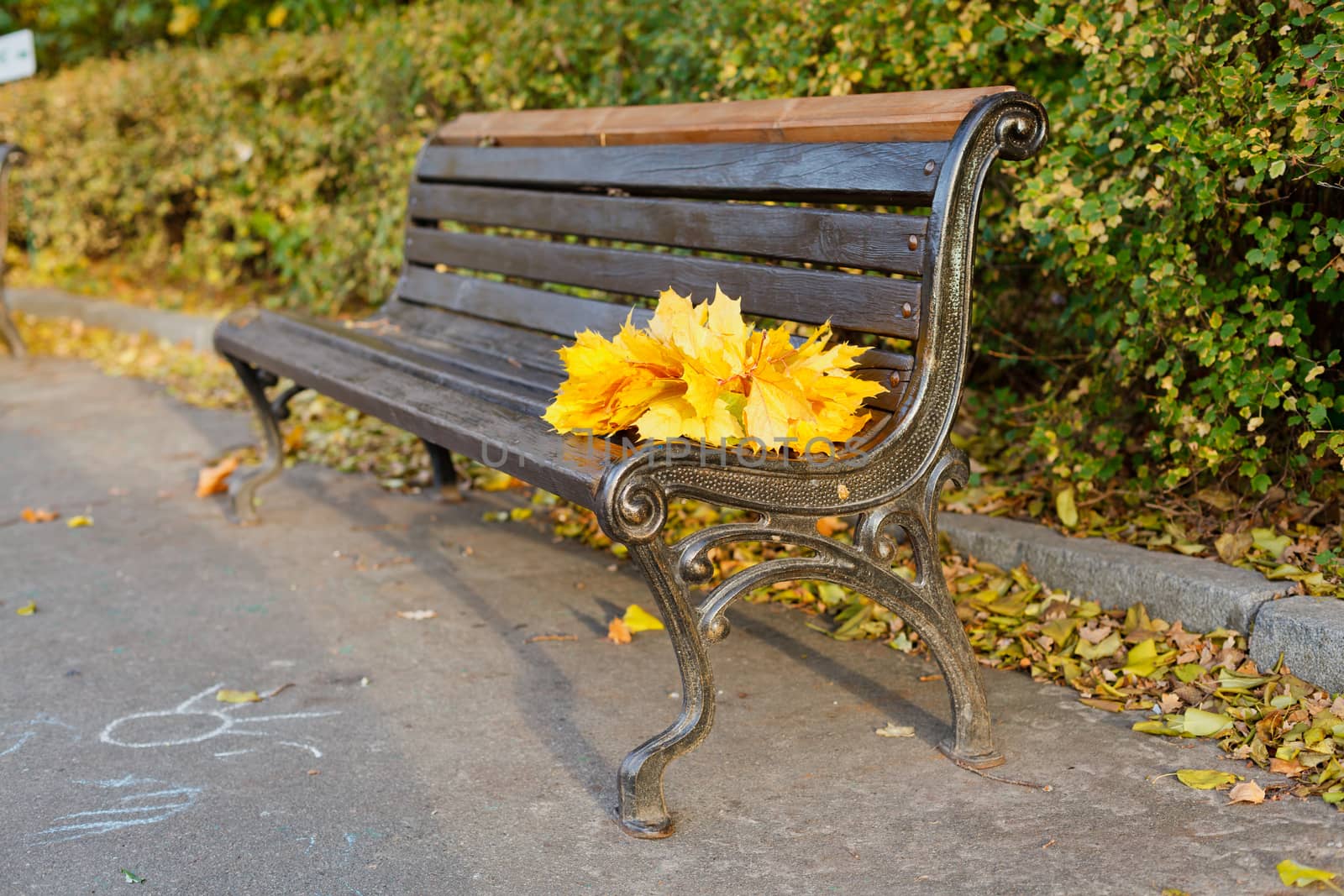 Empty bench with bouquet of leaves in autumn park