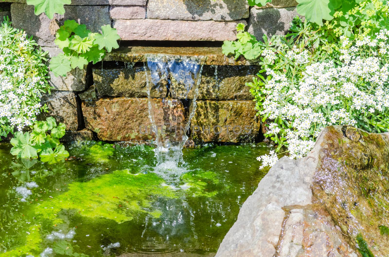 Overlooking a small waterfall and garden pond.