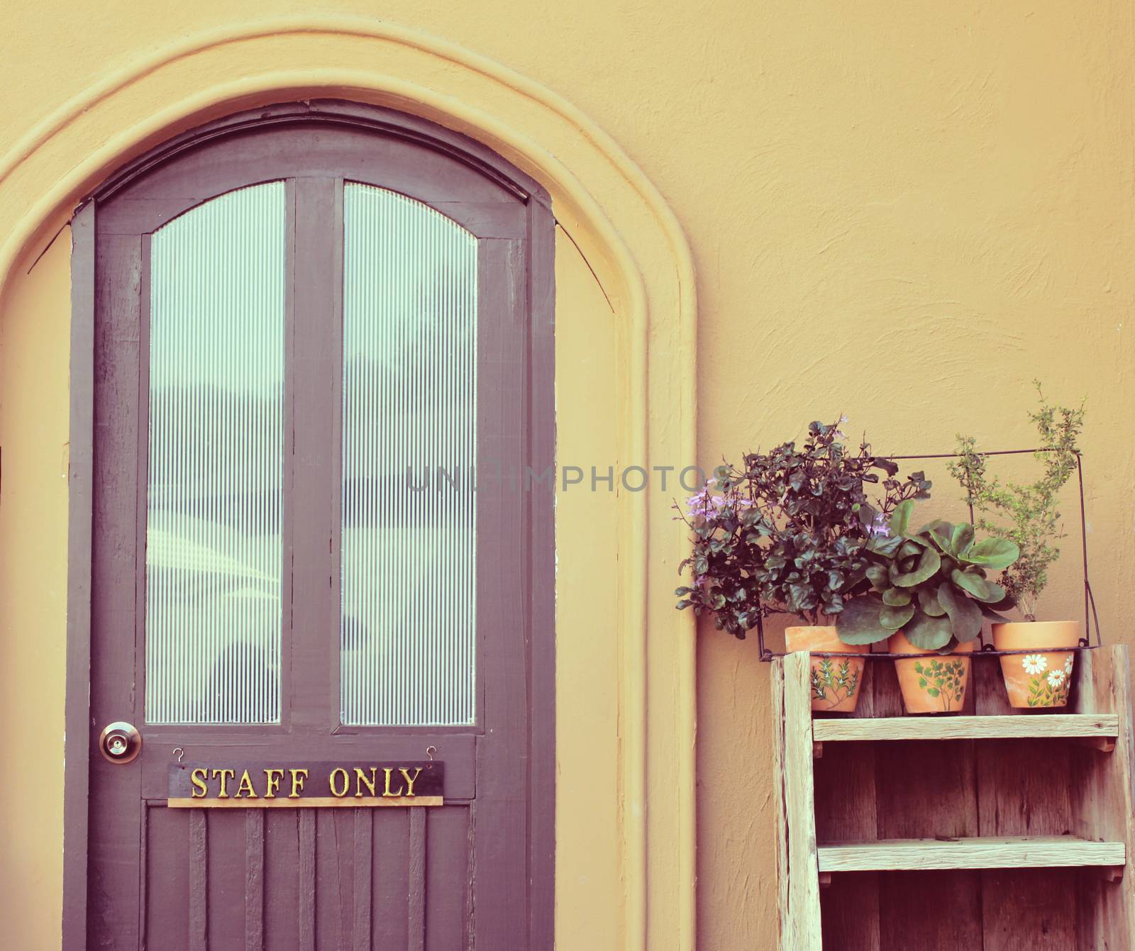 Staff only on door with flower pot for decorated, retro filter e by nuchylee