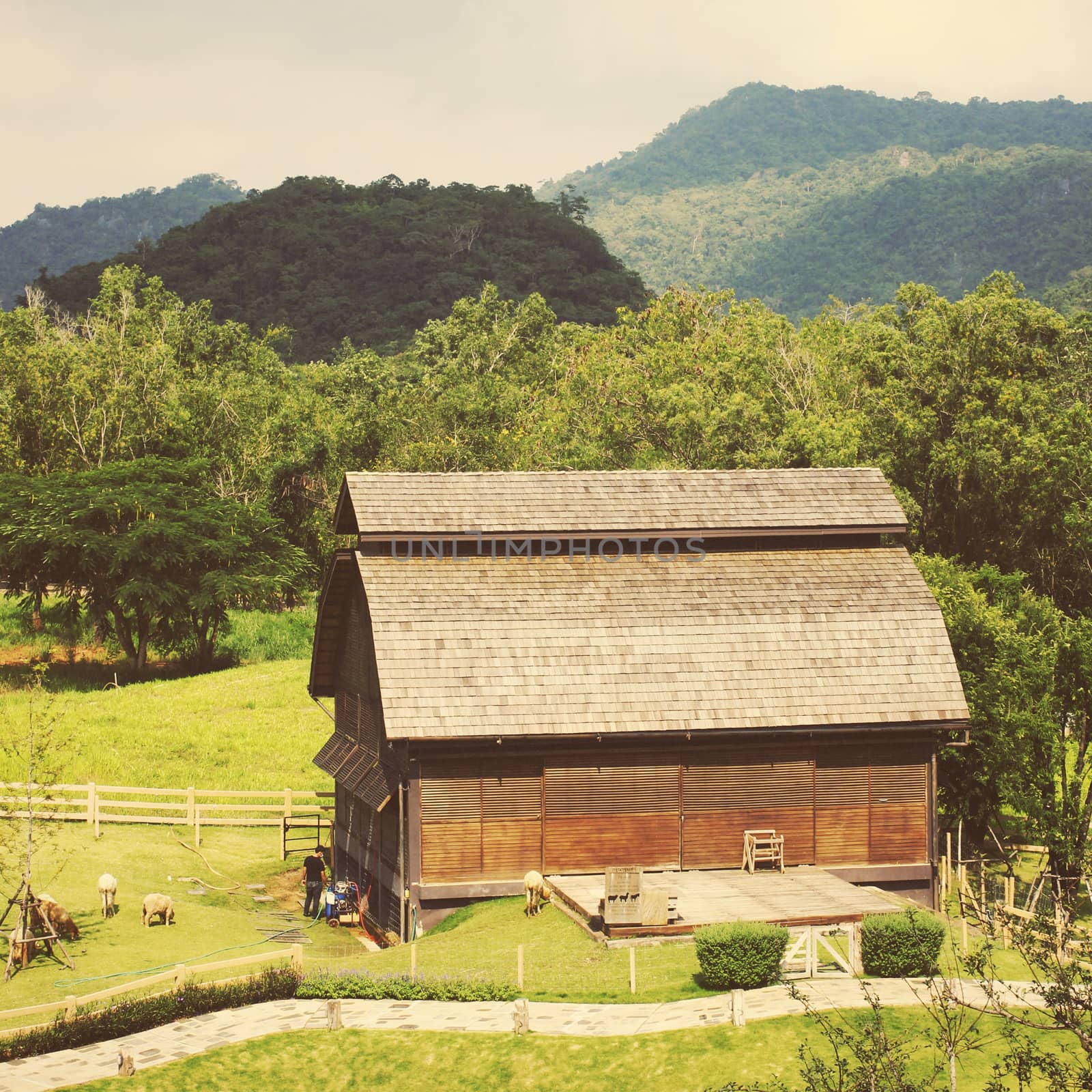 Old storehouse in countryside area with animal farm by nuchylee