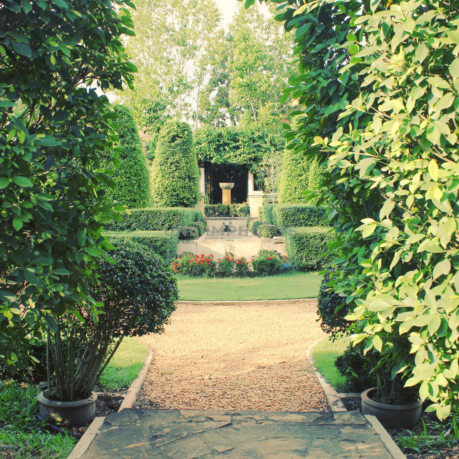 Beautiful classic garden with retro filter effect by nuchylee