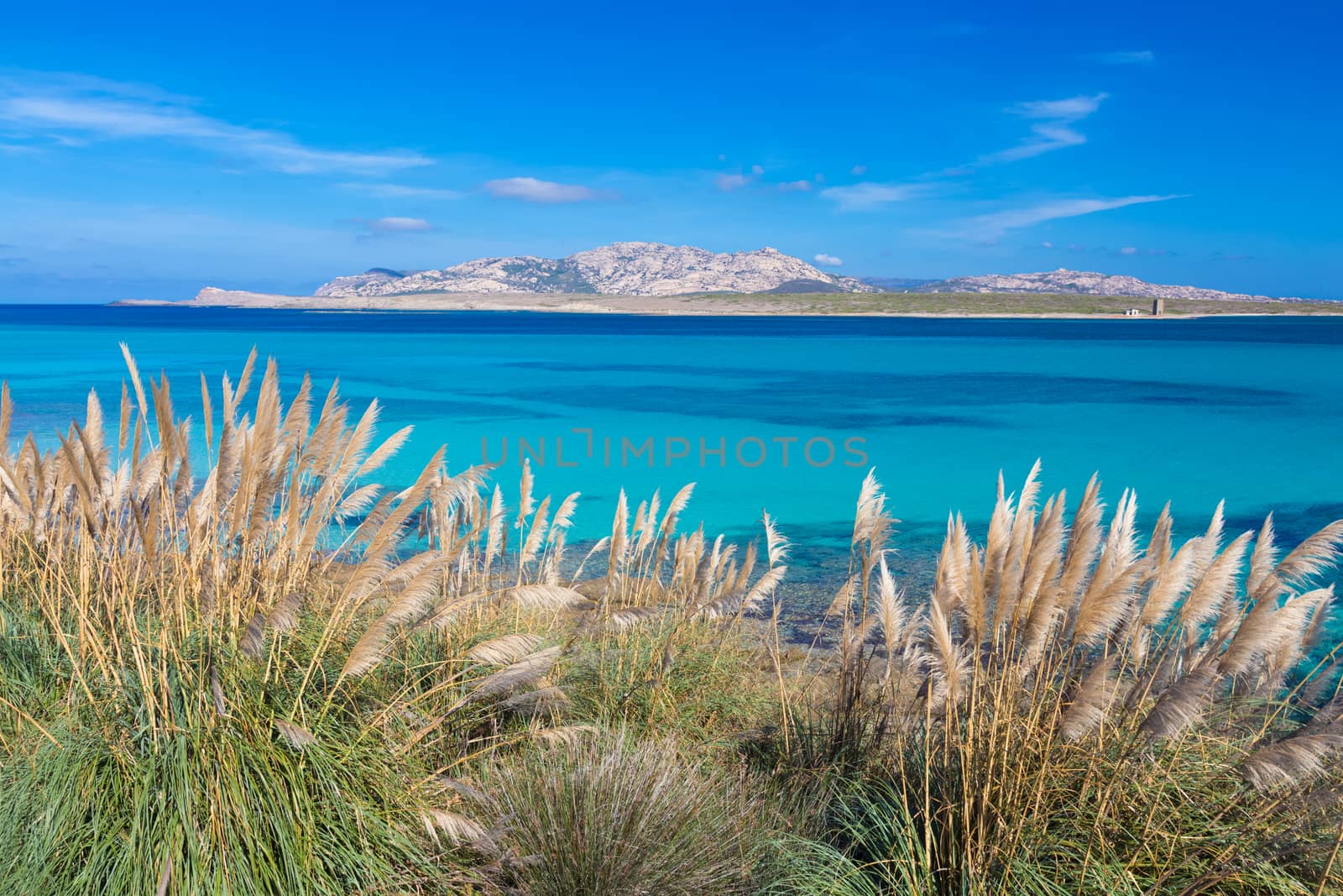 Beautiful turquoise blue mediterranean Pelosa beach near Stintino,Sardinia, Italy.