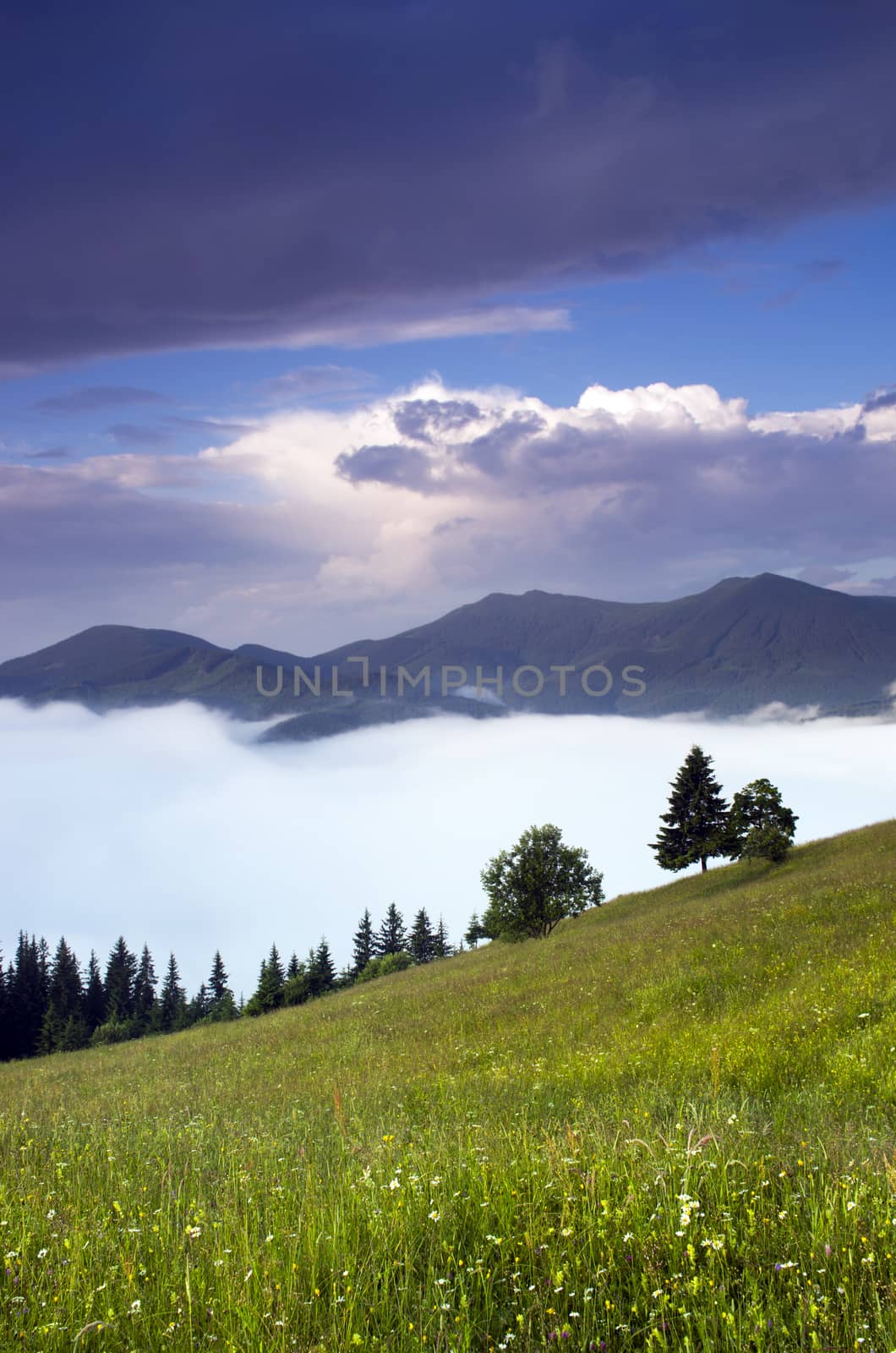 evening mountain plateau landscape (Carpathian, Ukraine)