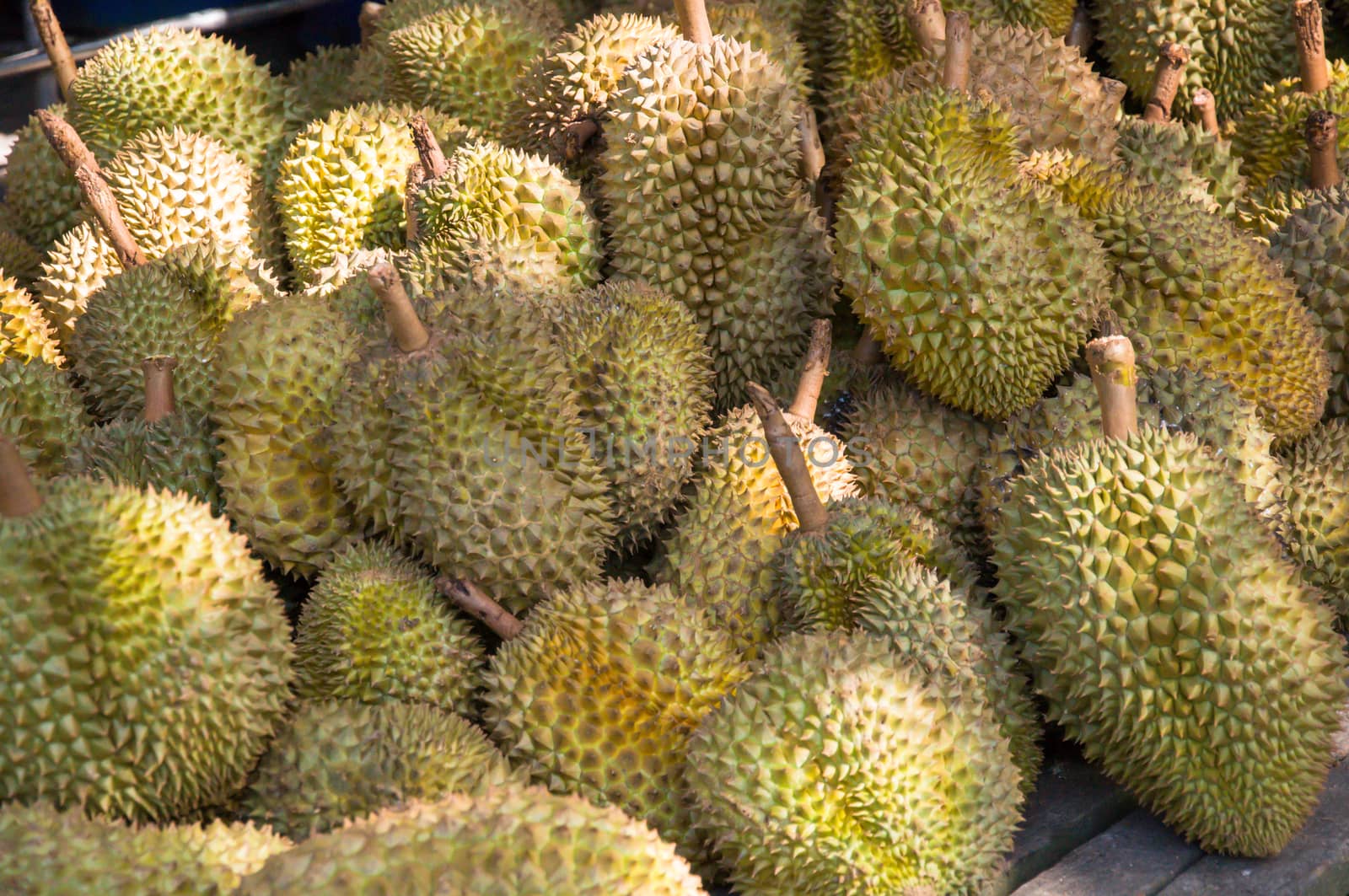 Durian, the world's smelliest fruit, the king of fruit in much of south-east Asia.