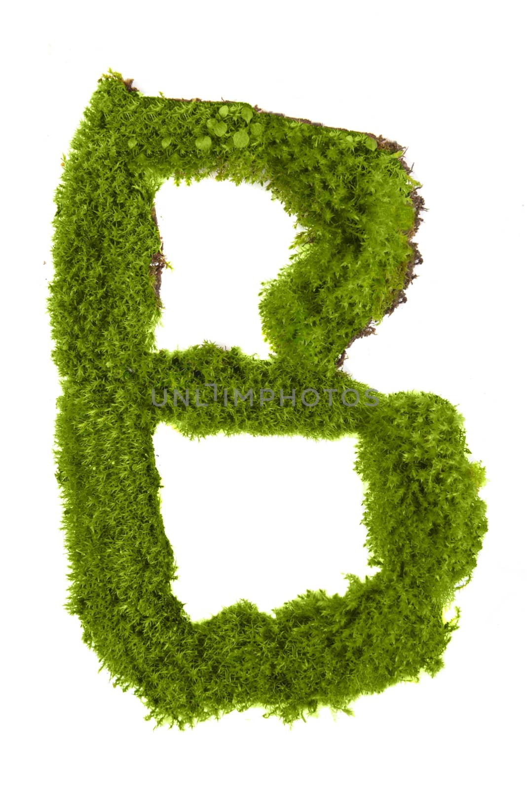Letter made out of autumnal forest Leaves