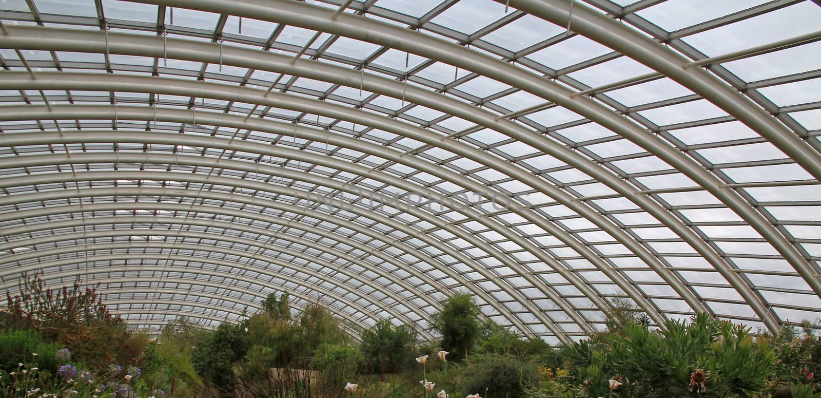 Giant Greenhouse Roof by gary_parker