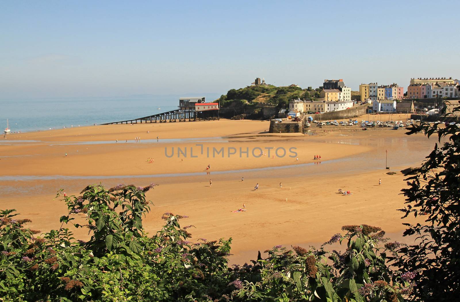 A view of Tenby harbour, in south Wales, with colourful, pastel houses overlooking the beach and sea, framed by foliage