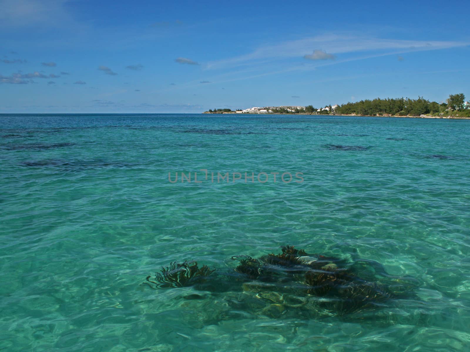 Tropical Sea, with a visible reef by gary_parker