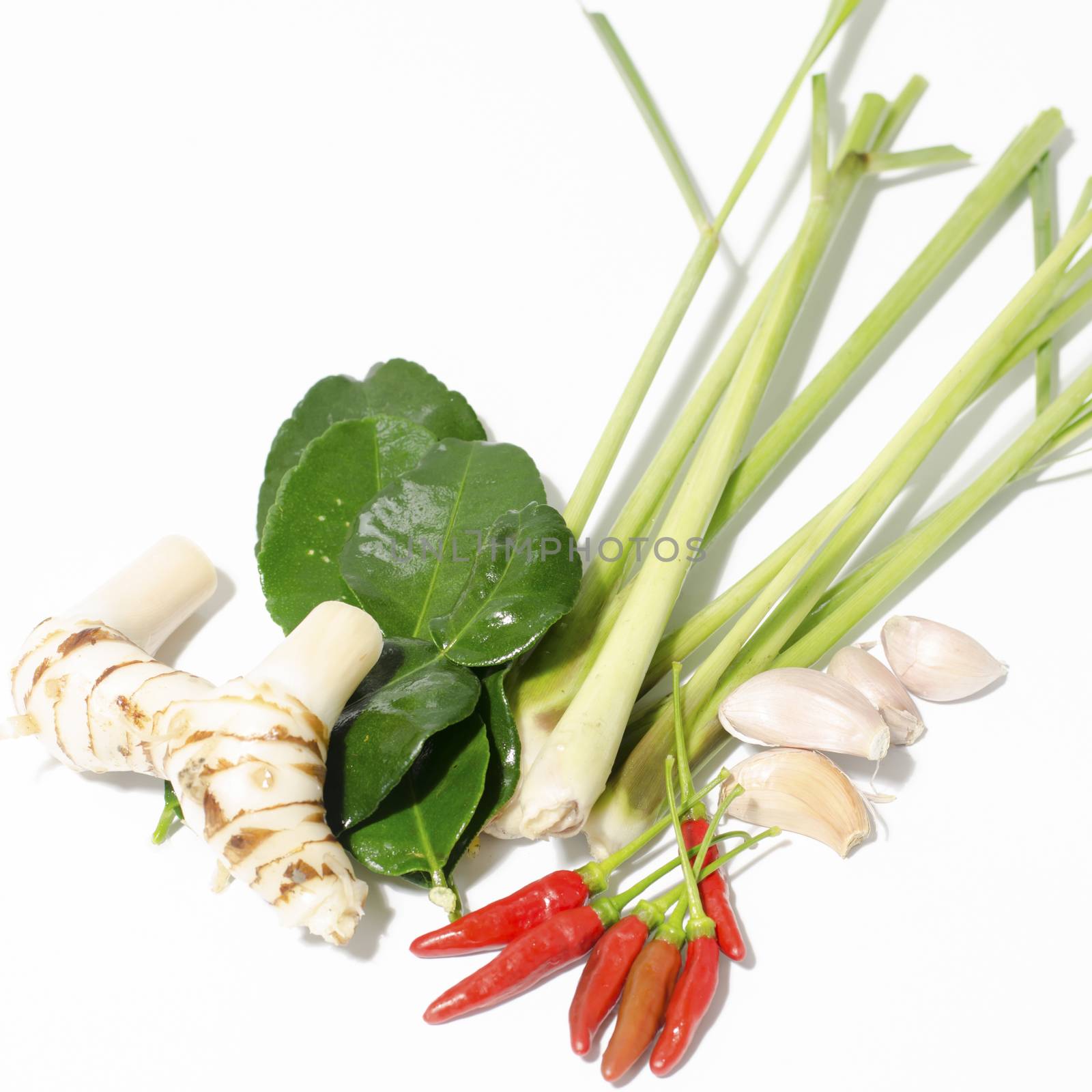 Herbs and spices set to make tom yum spicy soup
