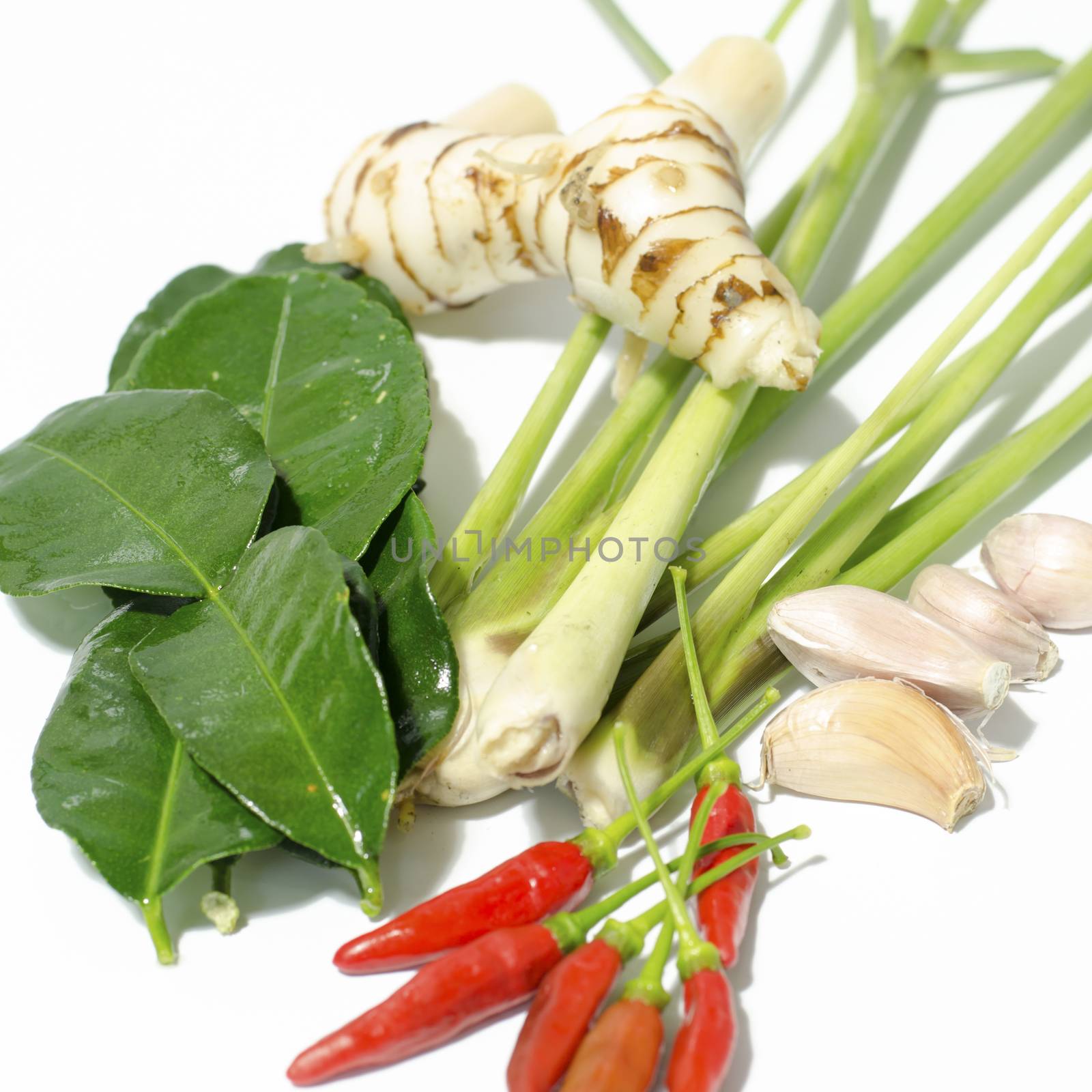 Herbs and spices set to make tom yum spicy soup