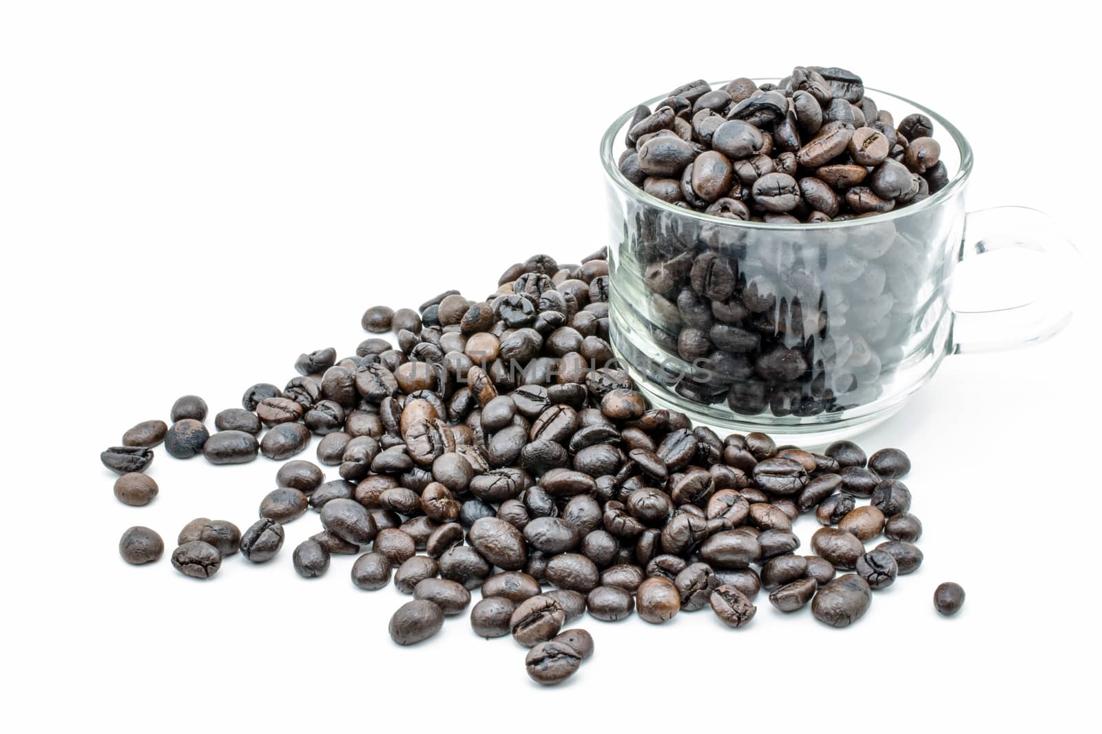 seed coffee in White background