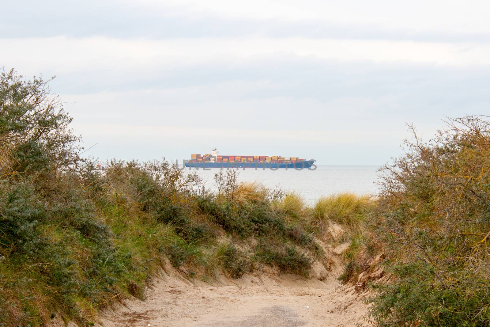 container boat seen from the dunes