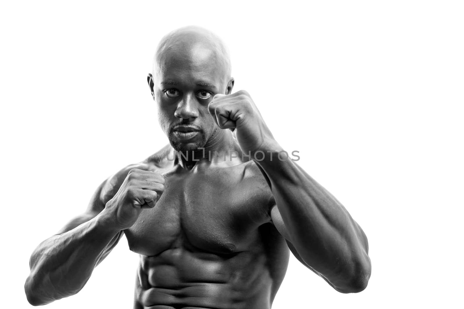 Ripped and muscular martial artist holding his fists up in black and white. Great boxing or fitness concept. Shallow depth of field.