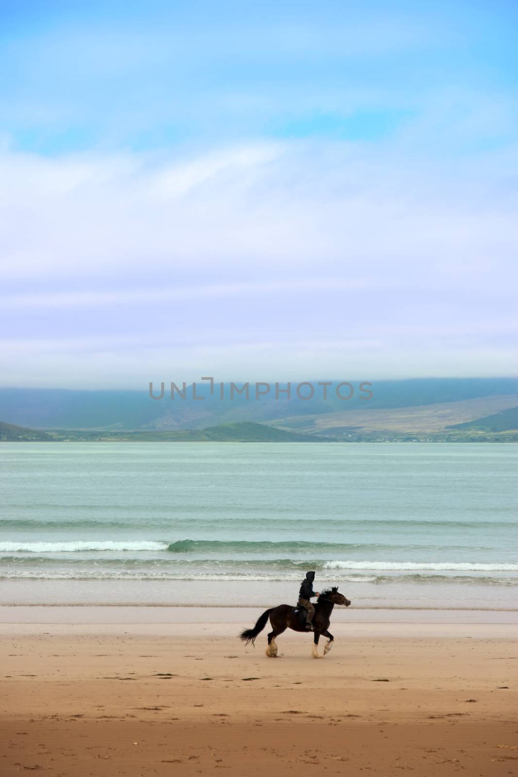 horse and rider at the maharees a beautiful beach in county Kerry Ireland