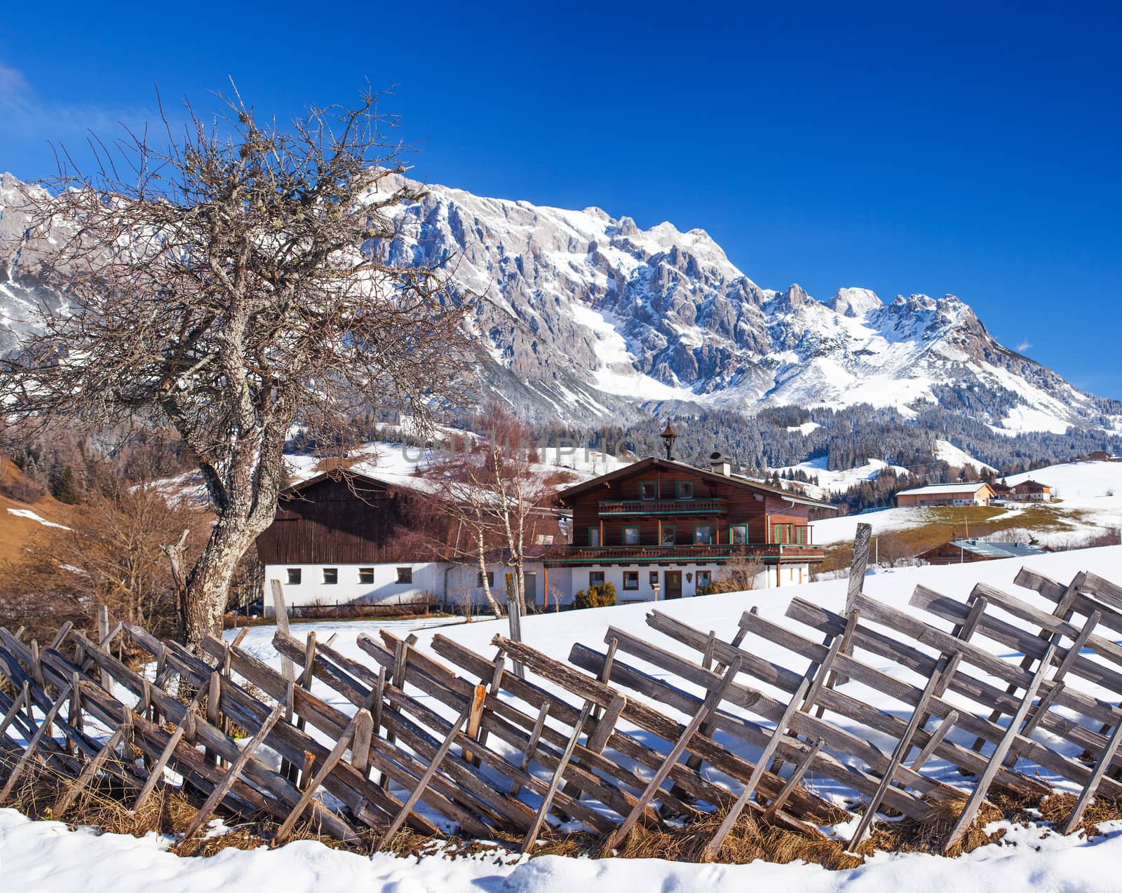 Winter in the Alps by maxoliki