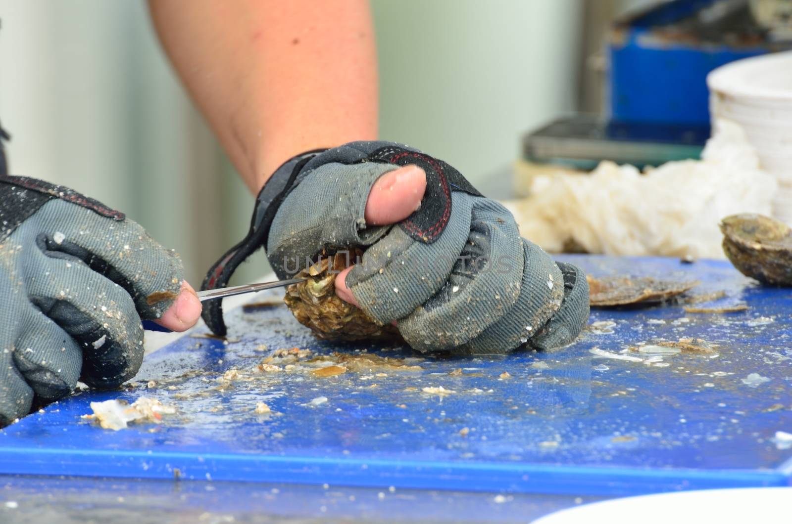 Preparing Oysters with sharp knife