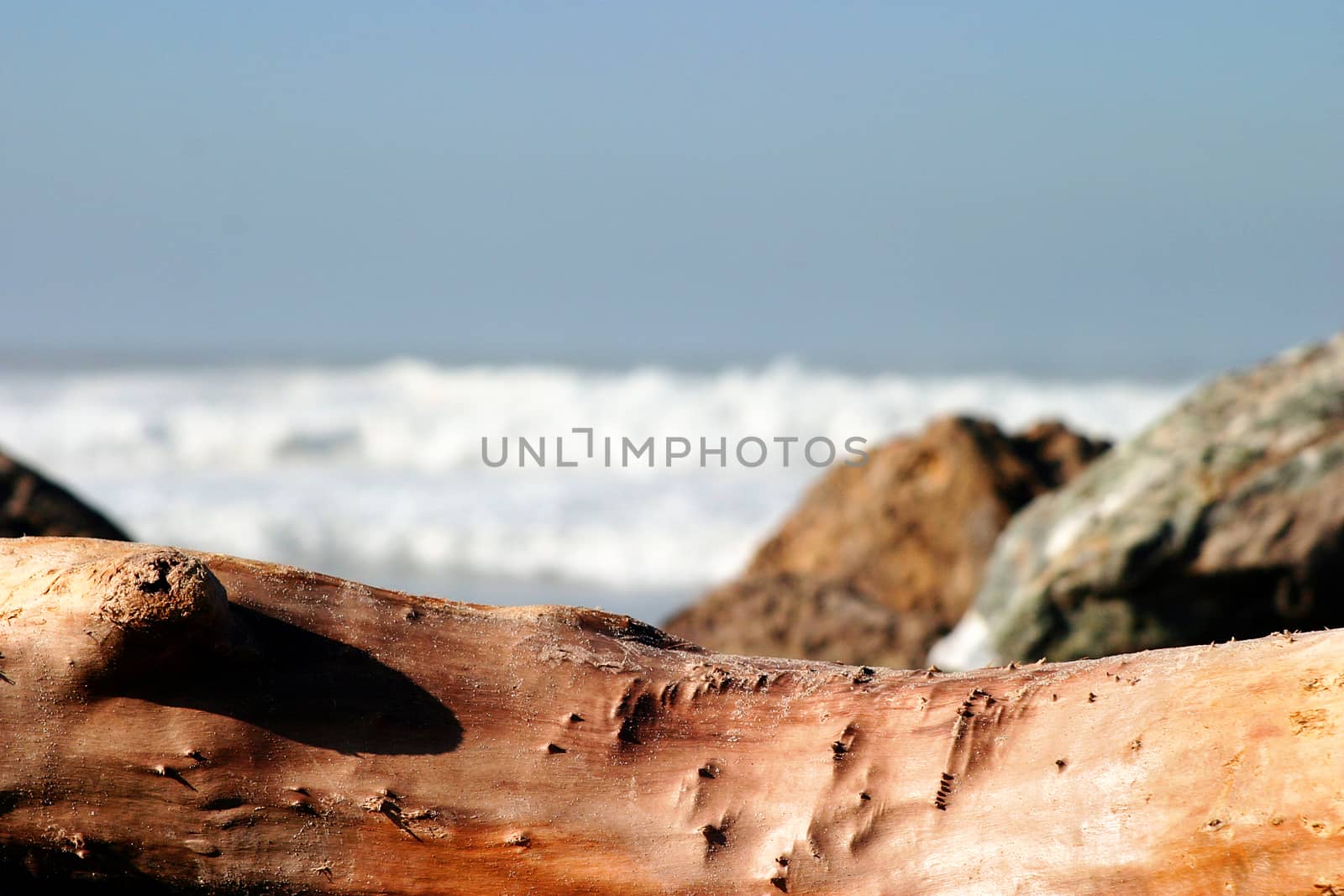 Drift Wood with stormy ocean waves in the background.