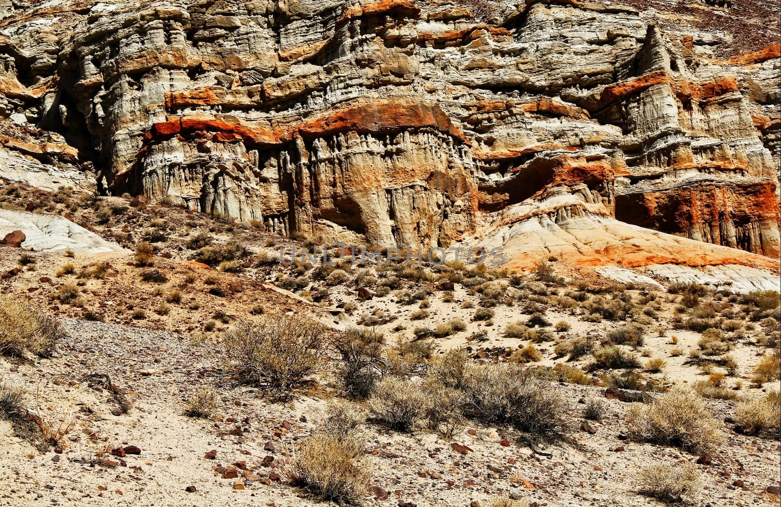 Red rock texture with desert at Red Rock Canyon by Timmi