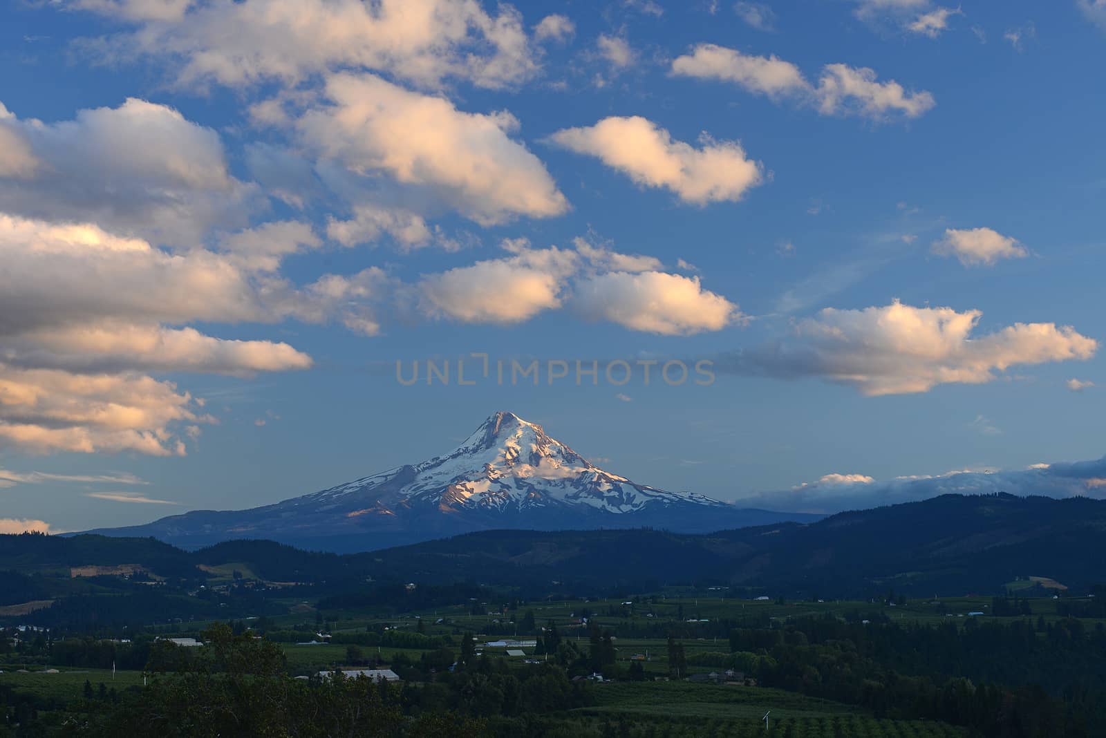 snow covered mount hood with afternoon sunlight
