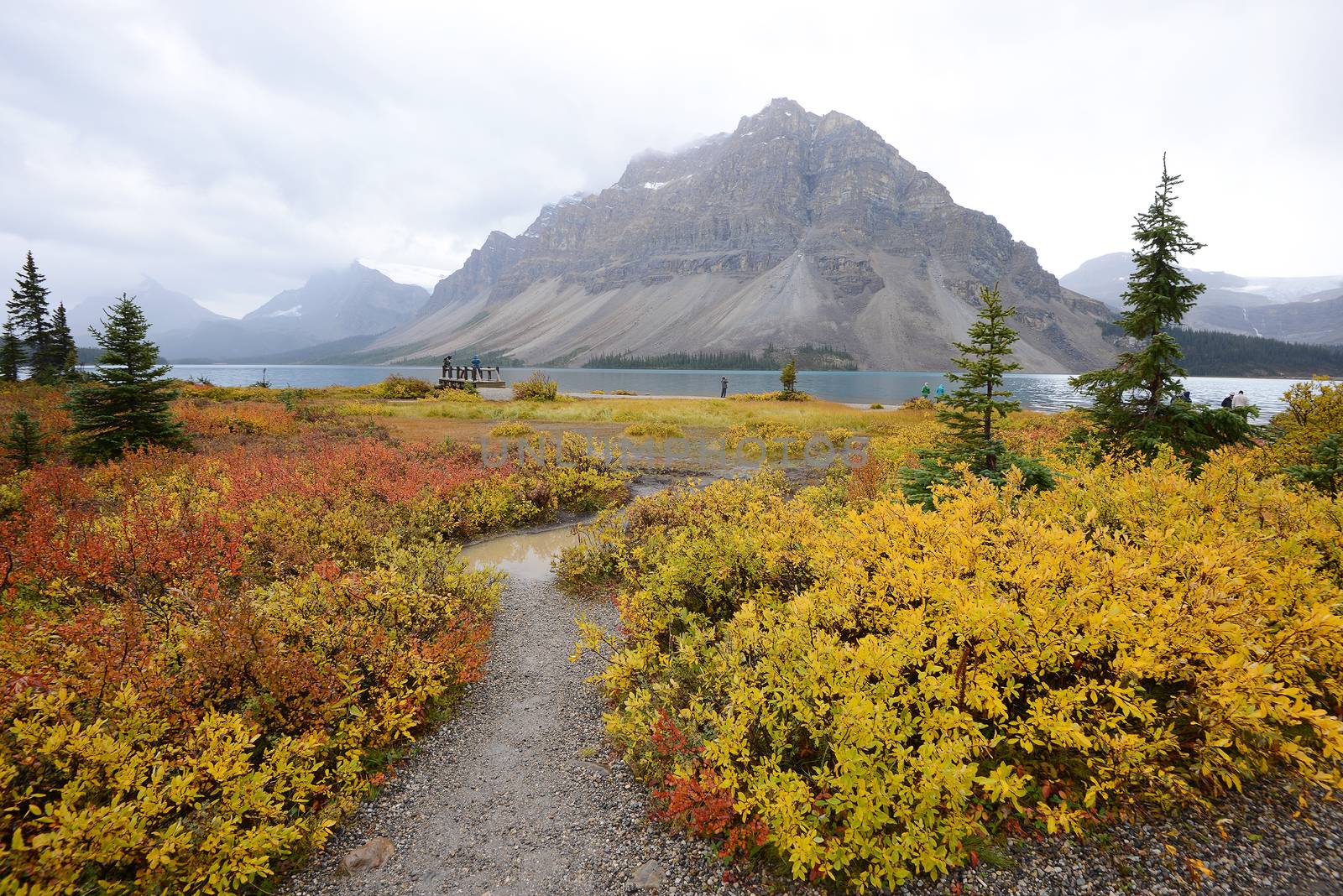mountain at bow lake in canada with fall colors
