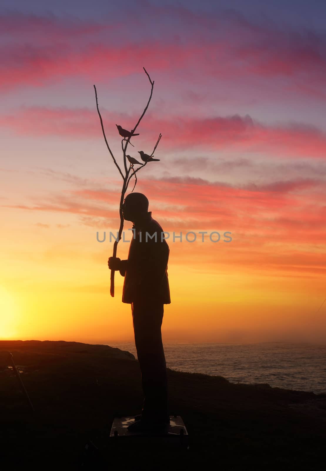 BONDI, AUSTRALIA - OCTOBER 23, 2014; Sculpture by the Sea Annual free public event 2014.  Exhibit titled Man playing with Birds  by artist Wang Shugang, China,  Materials, stainless steel, titanium, Price $120000