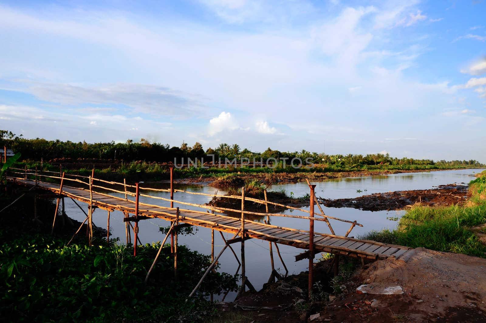 Wooden bridge across one of nine tributaries of Mekong river in Bentre province, Mekong delta, Vietnam, SouthEast Asia