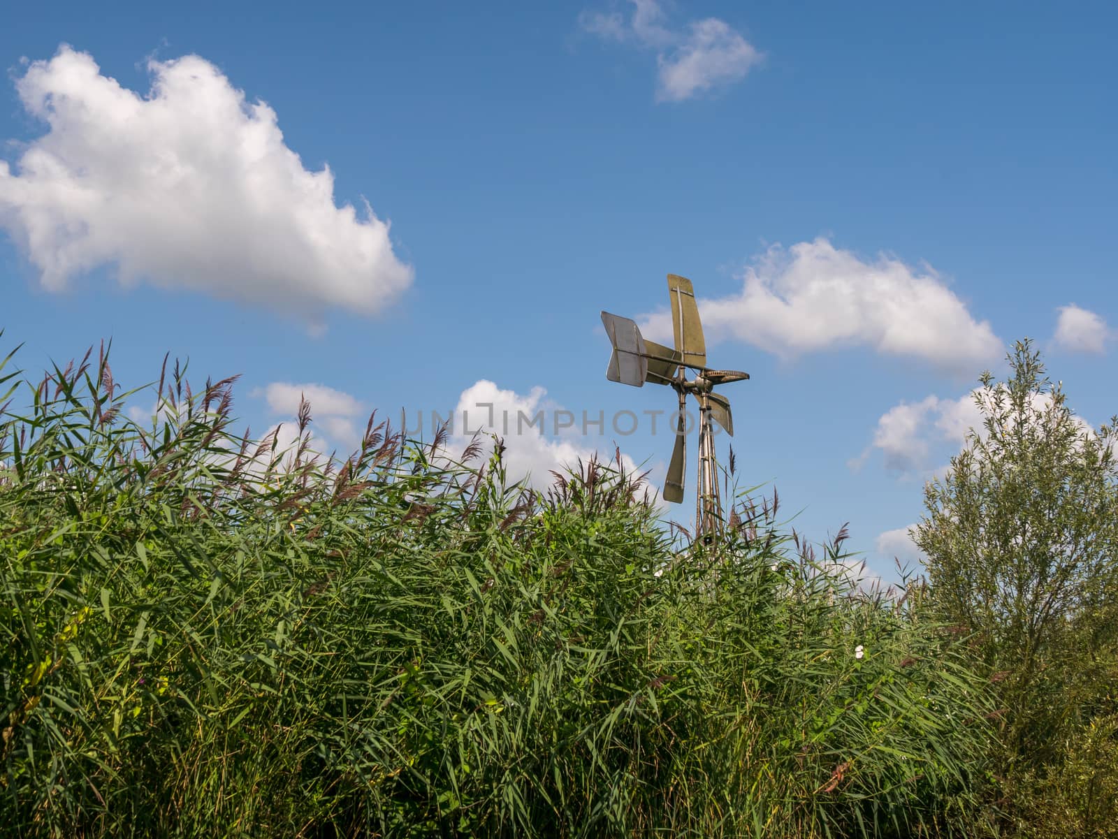 Old metal windmill in weerribben nature reserve