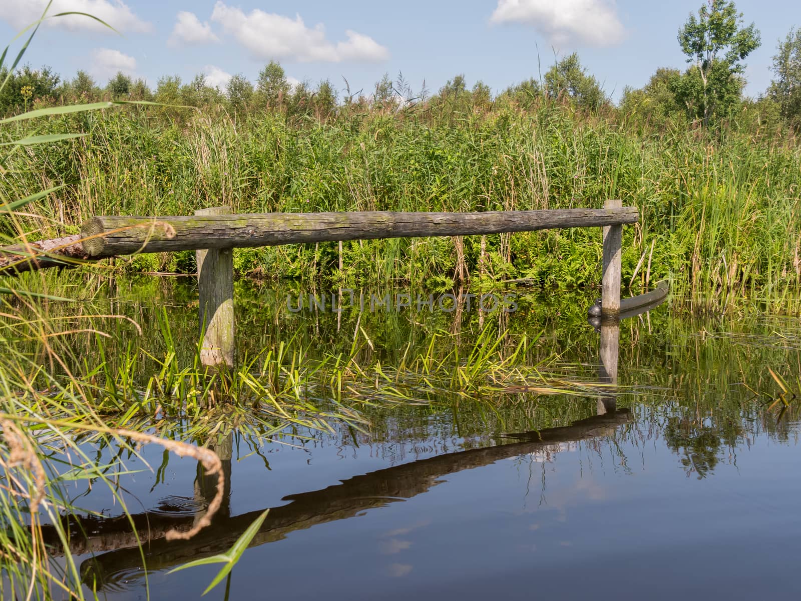 Reflections of wooden poles in a Dutch nature canal