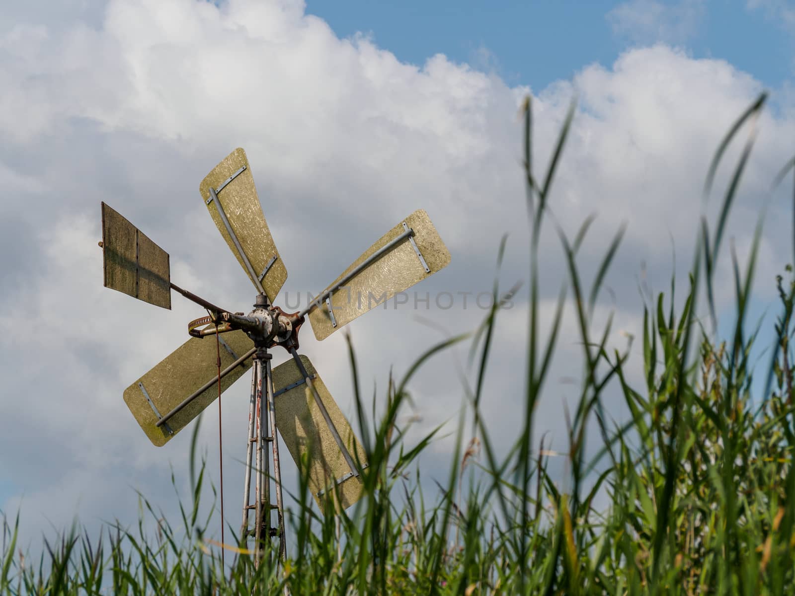 Old metal windmill in Dutch nature reserve Weerribben