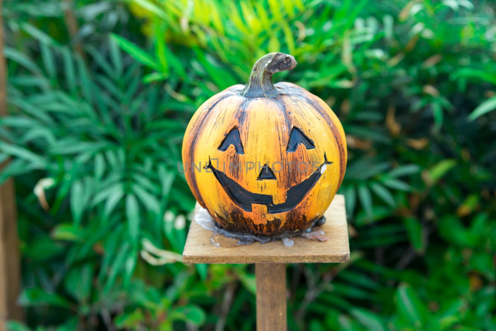 Halloween scary pumpkin with smile at outdoor scene