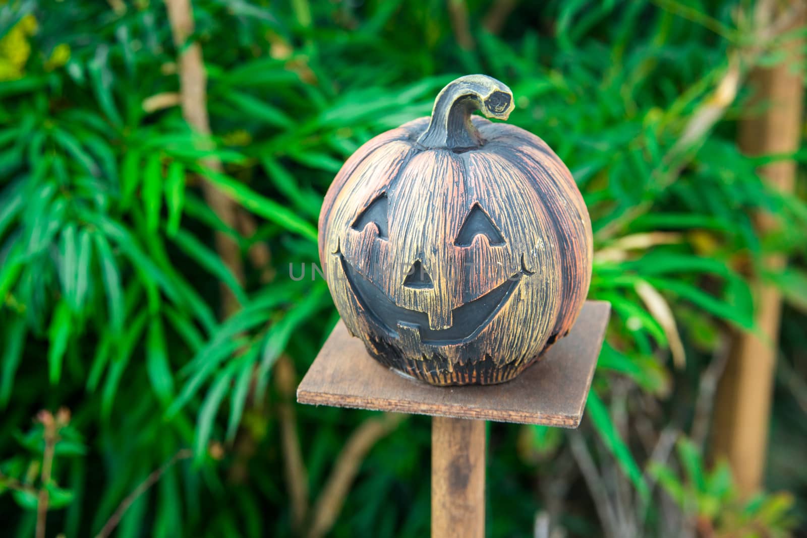 Halloween scary pumpkin with smile at outdoor scene