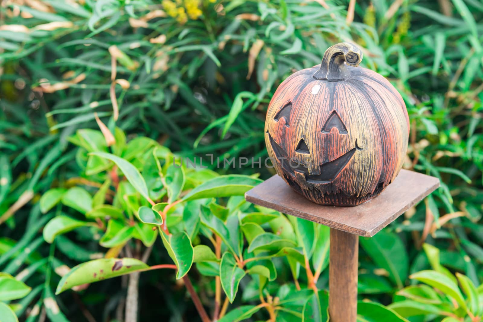 Halloween scary pumpkin with smile at outdoor scene