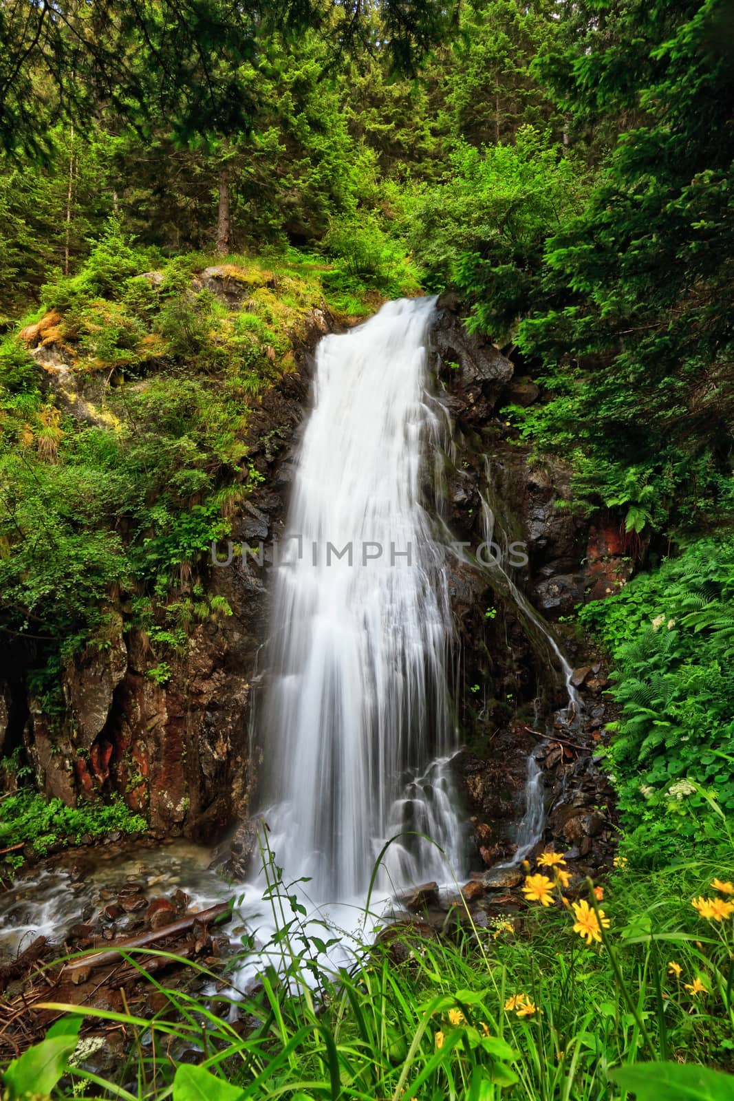 small waterfall in Vermiglio, Val di Sole, Trentino, Italy