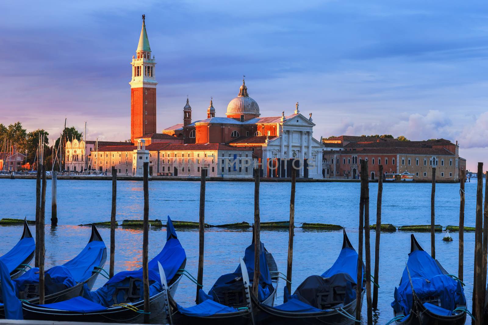 Gondolas in the Grand Canal at sunset, Venice