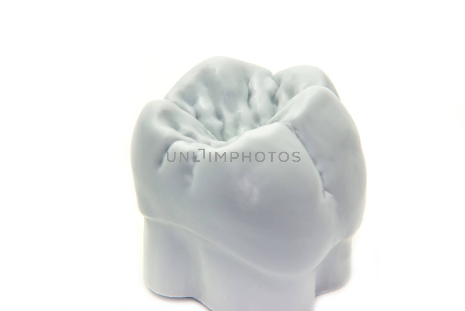 Teeth isolated on a white background - molar.
