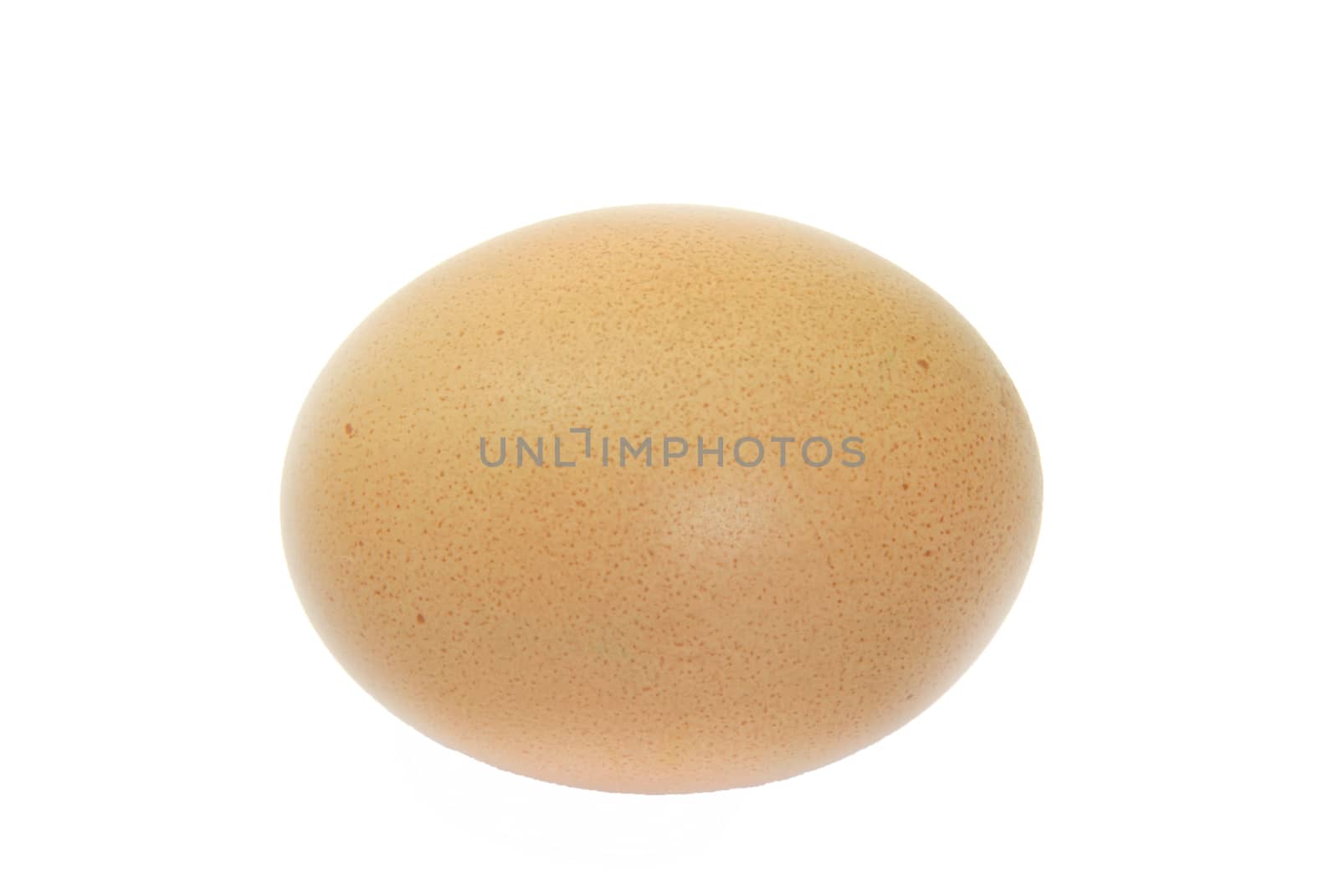 Egg isolated on a white background, close image.