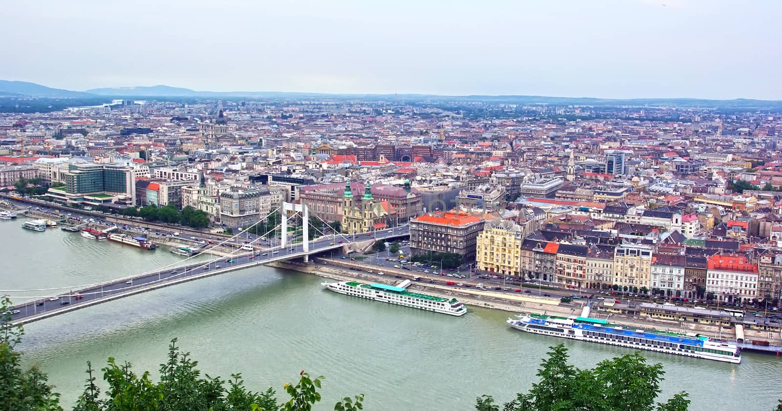 Budapest with Danube river from Gellert hill.