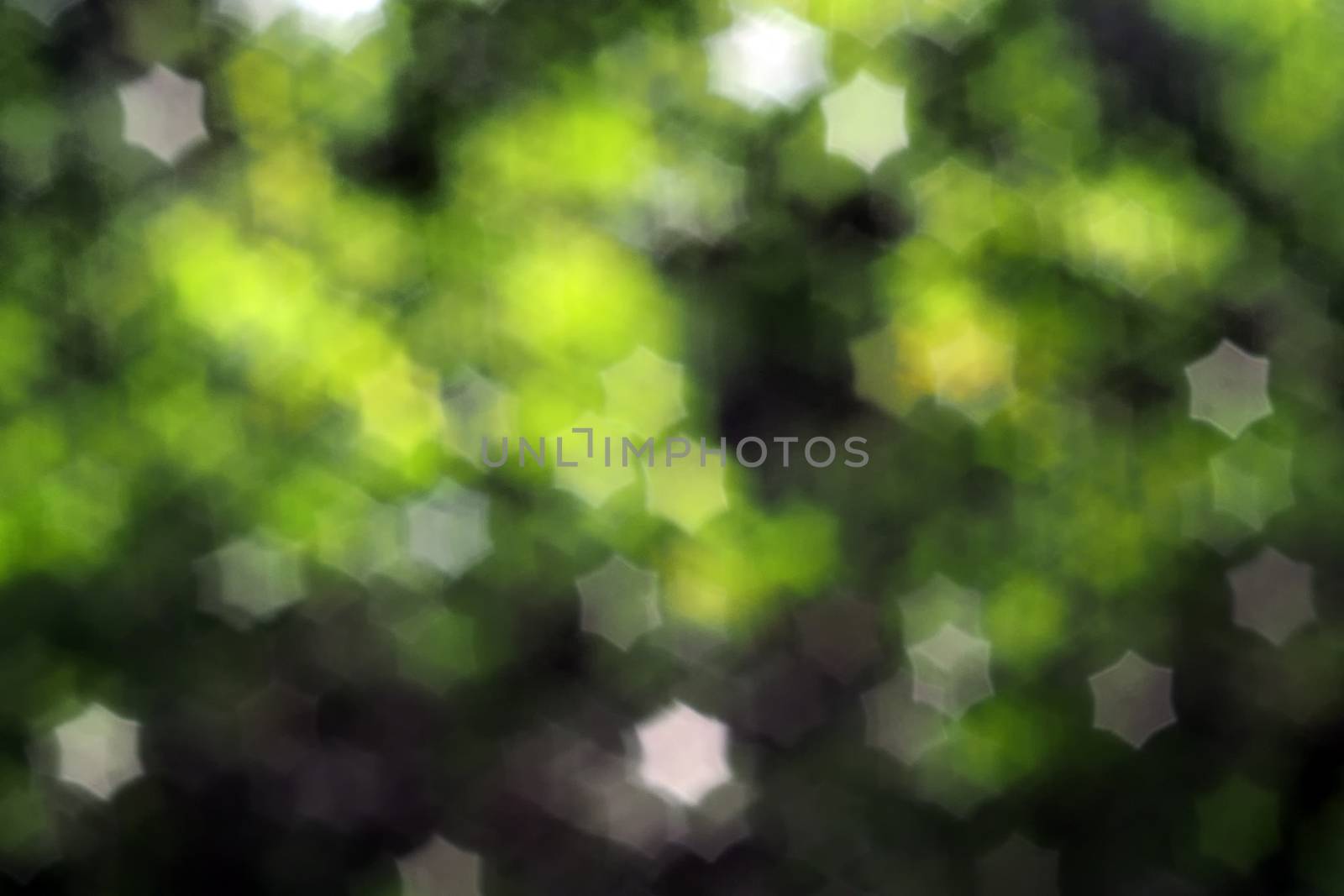 Abstract star bokeh light as background