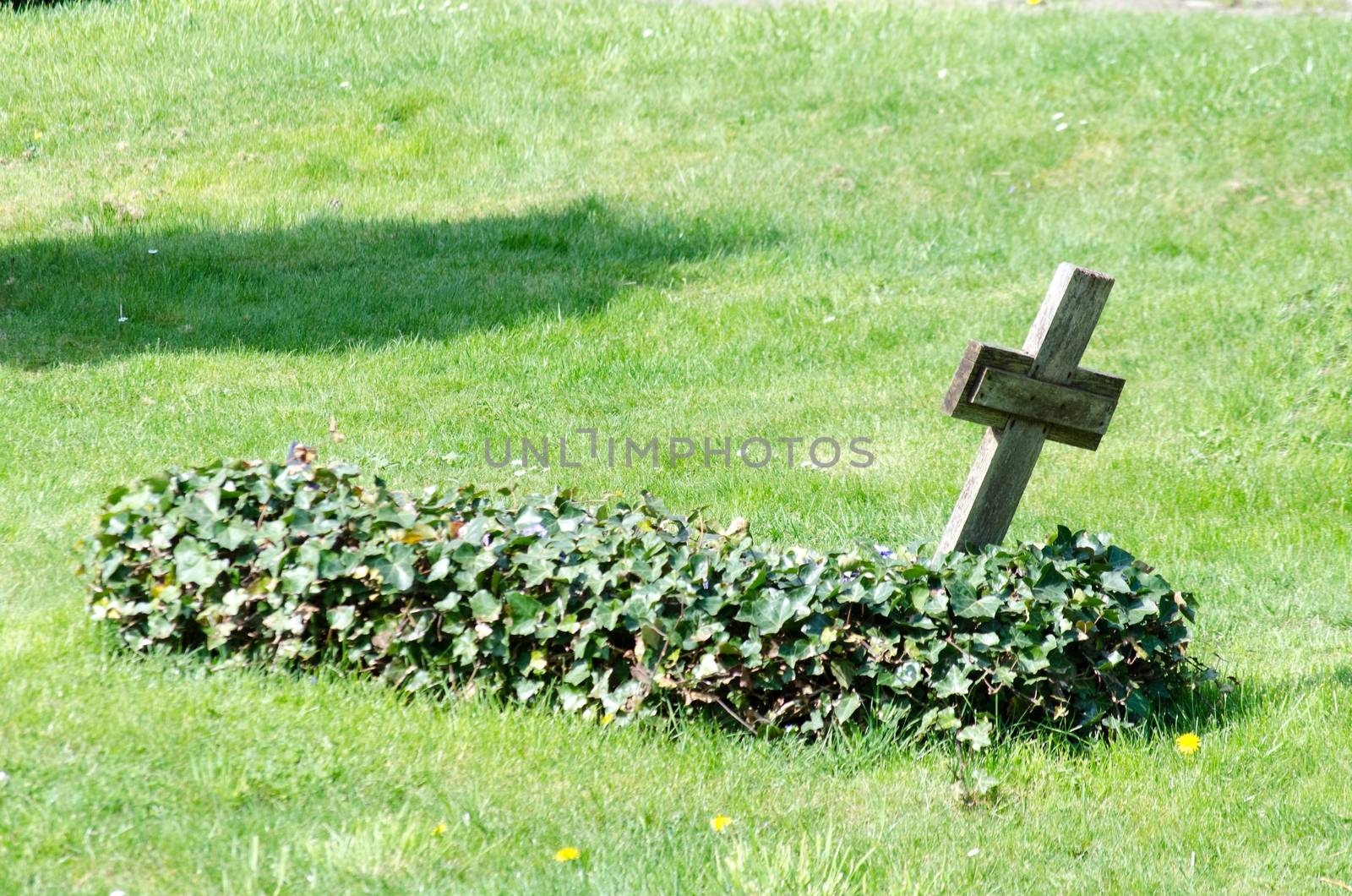 Einsammes Grab mit Holzkreuz auf einer grünen Wiese 

 Lonely lying grave with a wooden cross on a green meadow