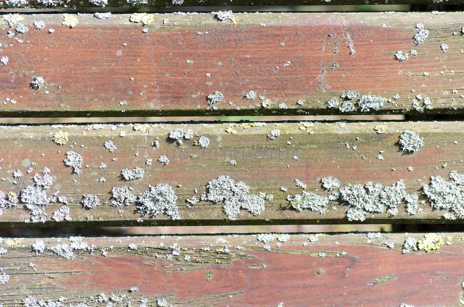 Wooden boards of a bank backrest very weathered