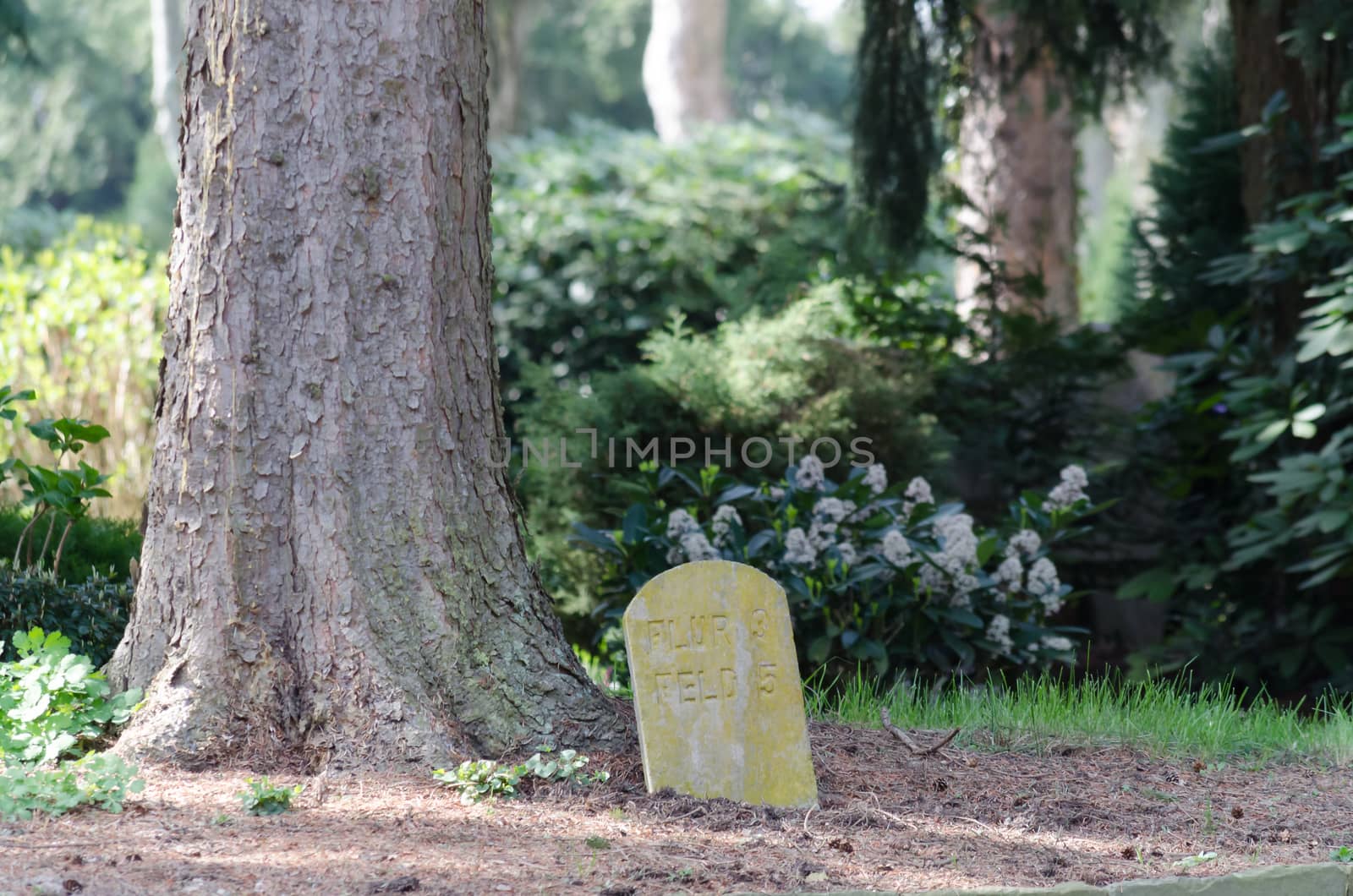  Lonely lying grave with a wooden cross on a green meadow