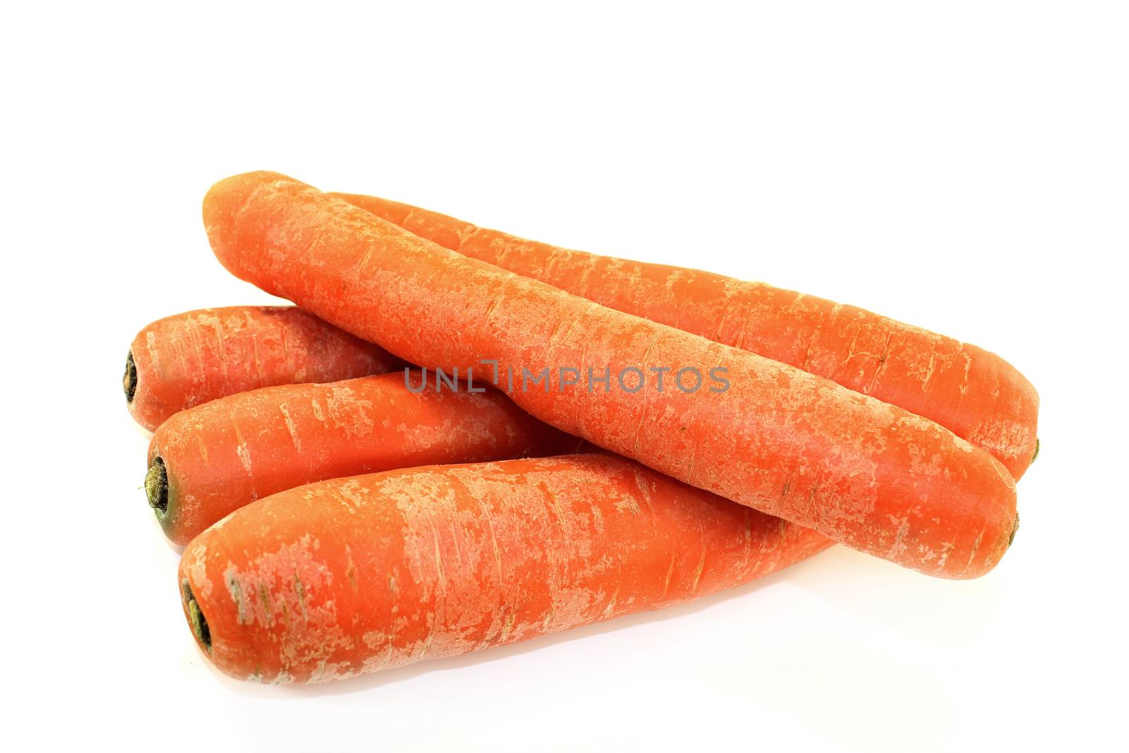 orange, raw carrots on a white background