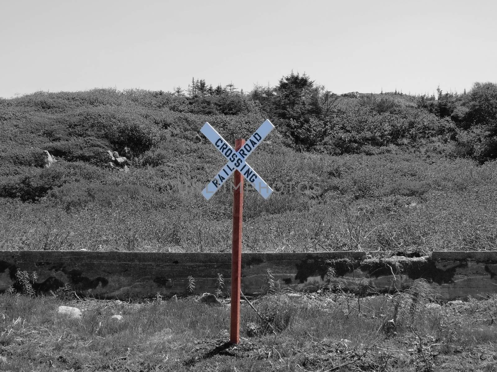 rail road crossing selective color by hicster