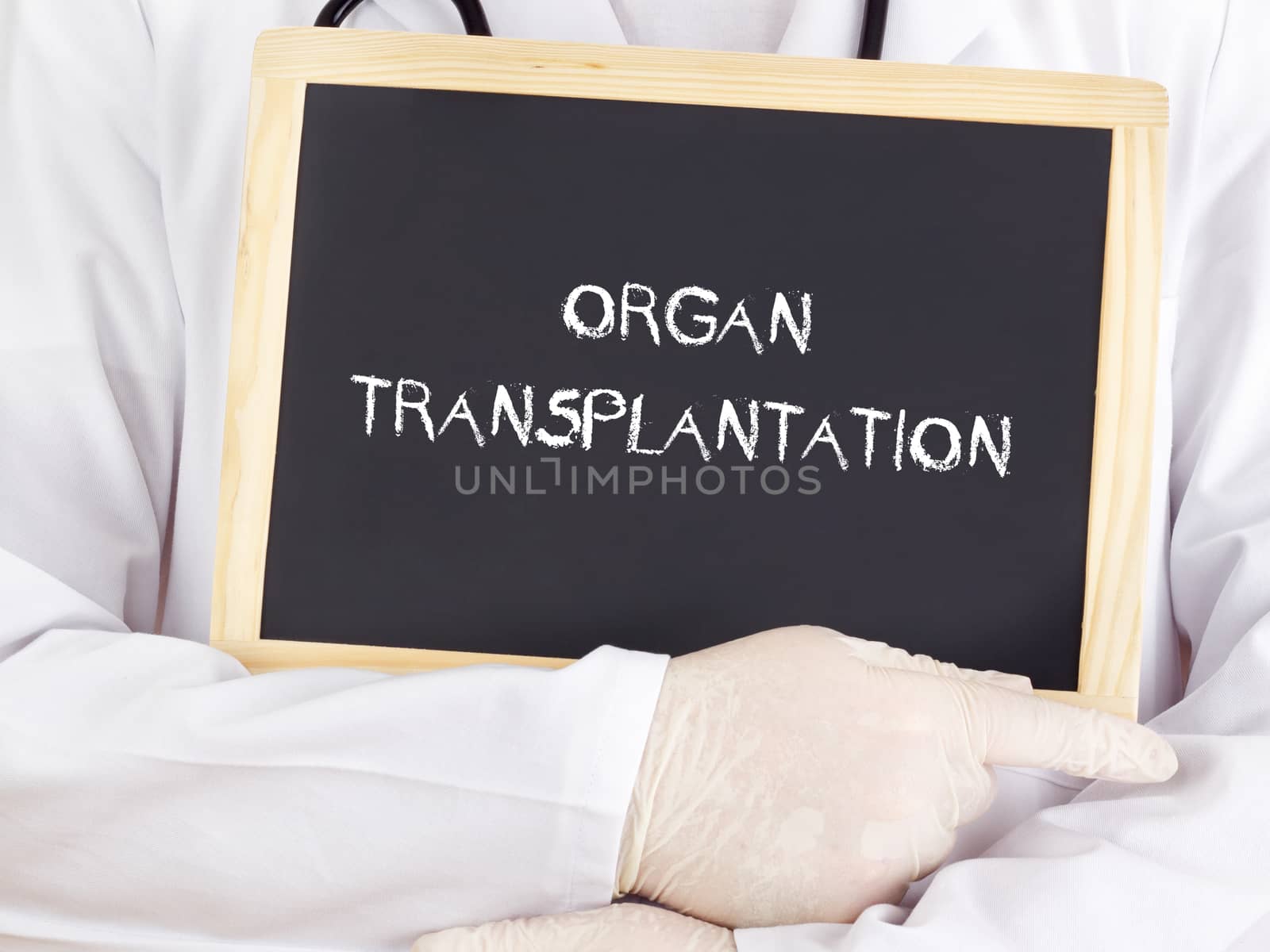 Doctor shows information: organ transplantation