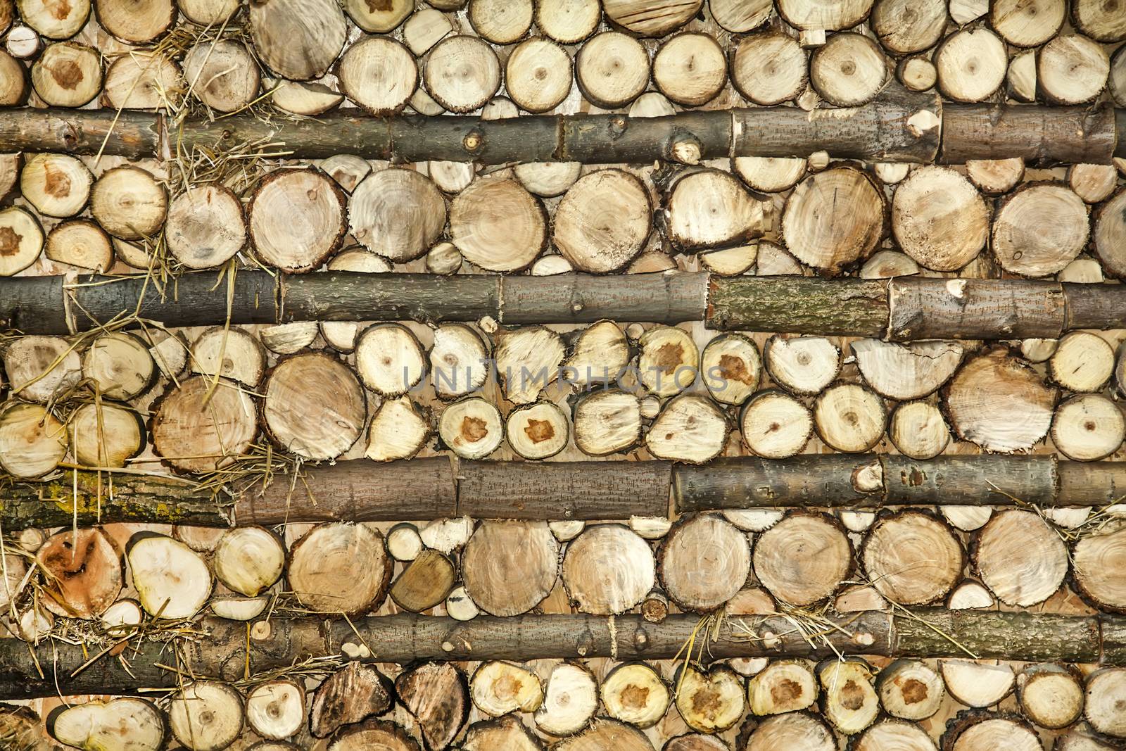 Natural wood log background pattern